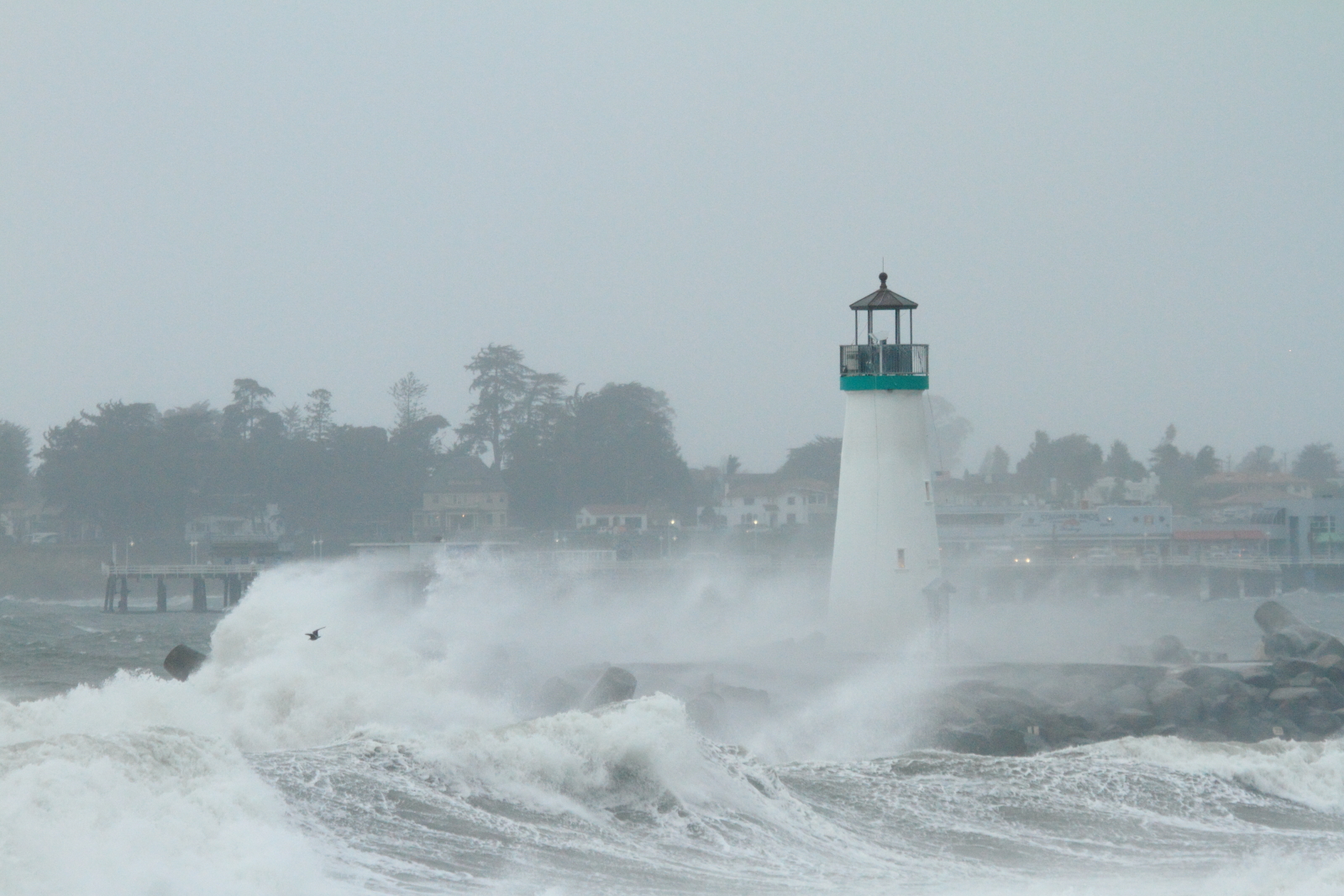 Photos from Winter storm in Santa Cruz, December 2014 David DeMartini